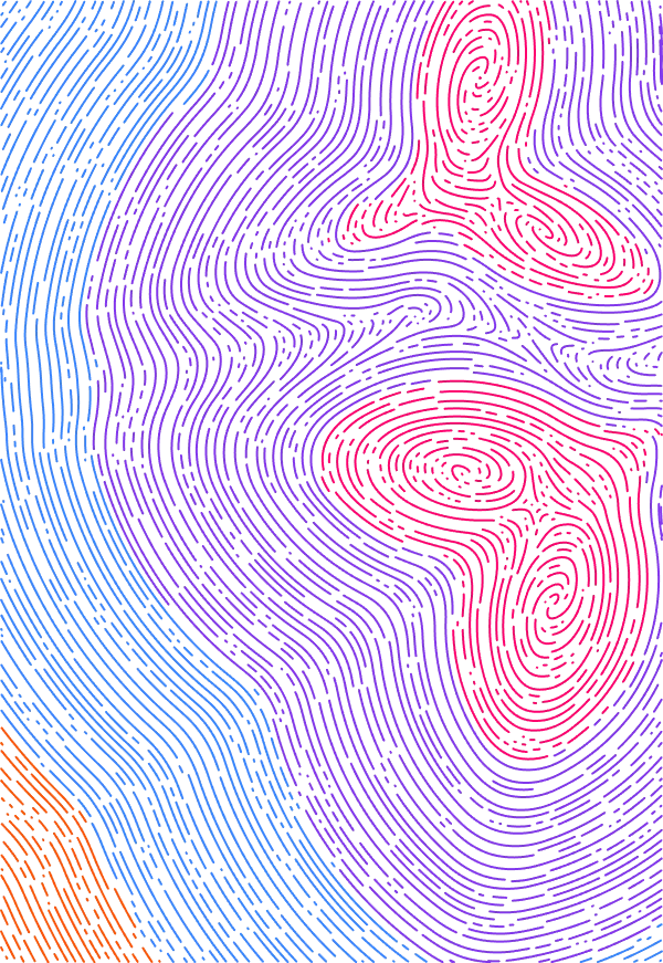 Wolney Noise