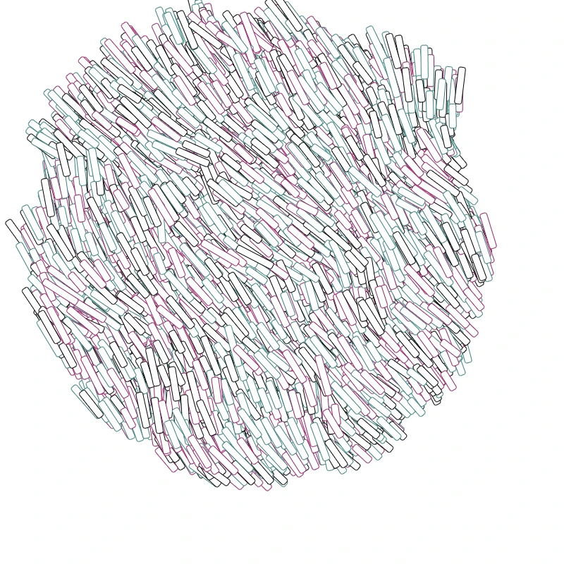 Circle