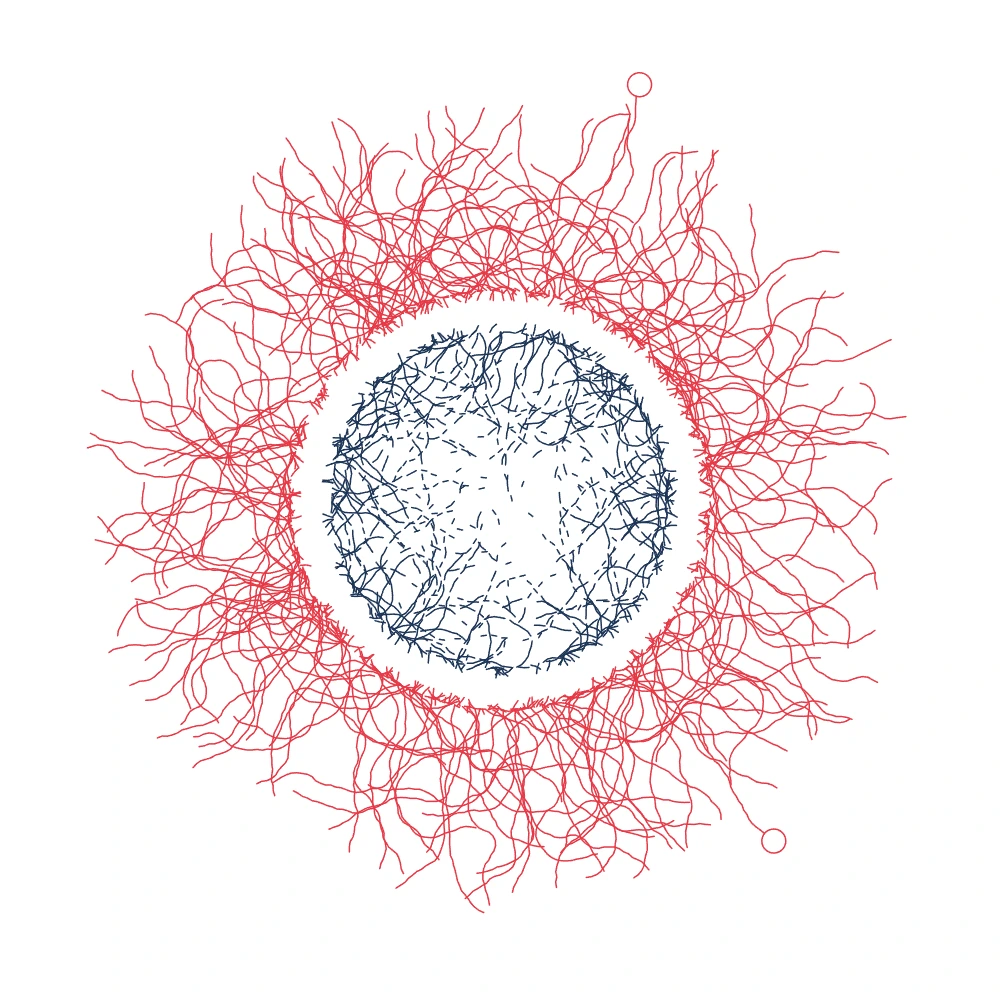 Hairy Birth